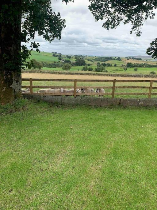 Ivy House Farm, Near Longnor Holiday home *